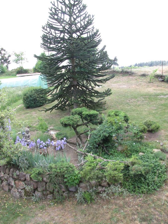 Bed and Breakfast Chez Sophie Et Gilles Monistrol-sur-Loire Esterno foto